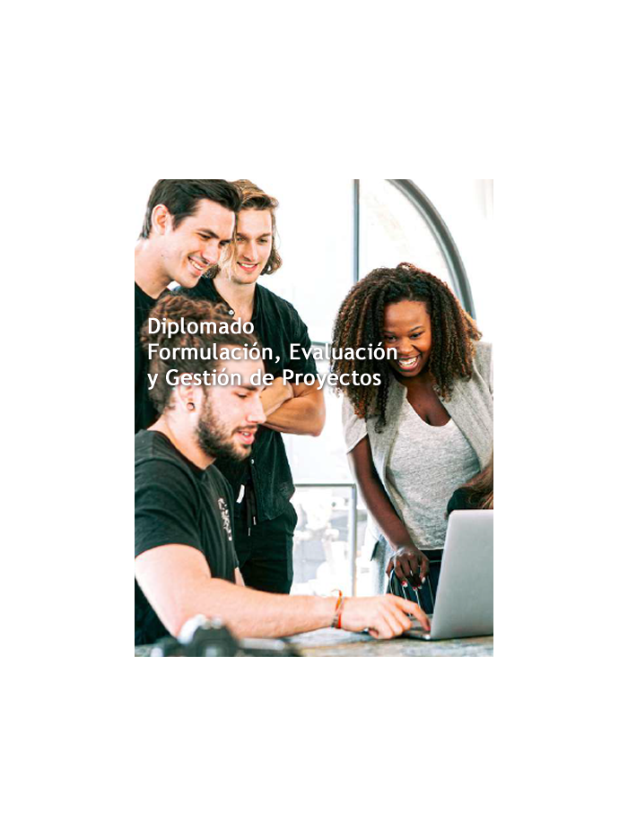 Diplomado Formulación, Evaluación y Gestión de Proyectos