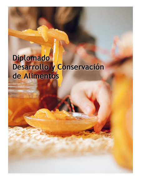 Diplomado: Desarrollo y Conservación de Alimentos