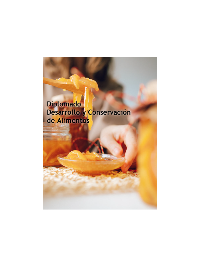 Diplomado: Desarrollo y Conservación de Alimentos